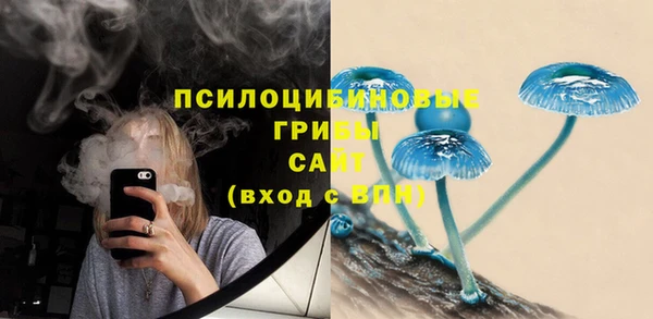 марки lsd Абаза